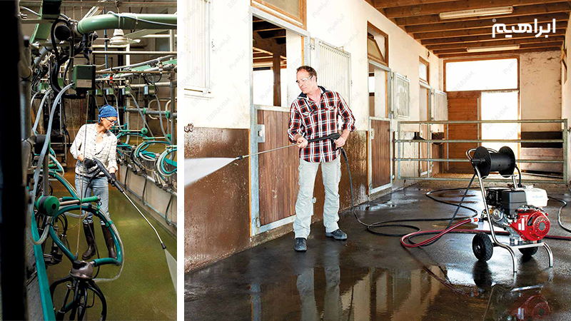 ضدعفونی و نظافت دامداری