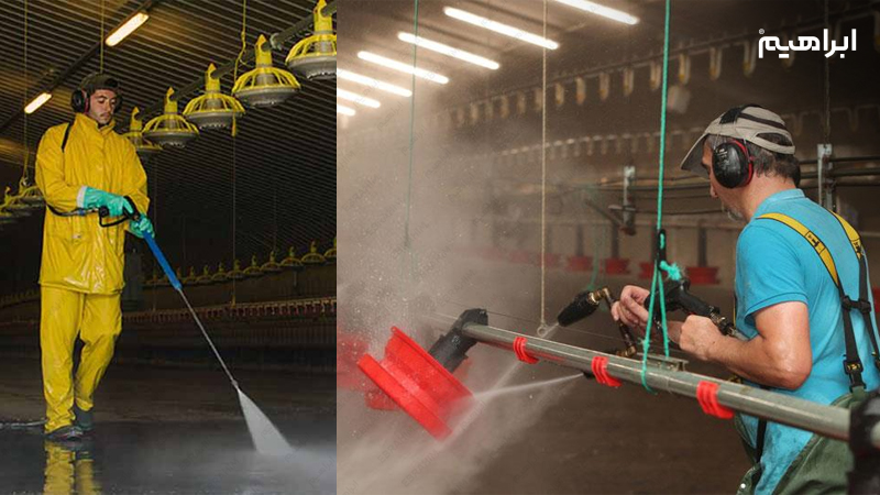 نحوه نظافت مرغداری