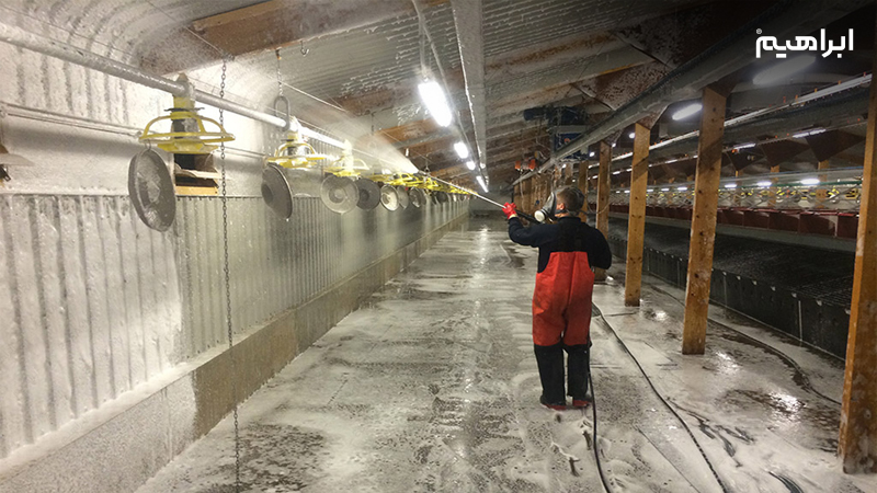 نظافت سالن مرغداری