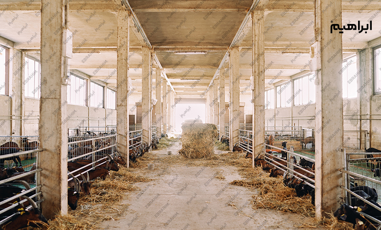 پاکسازی طویله