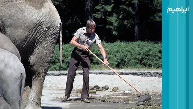 نظافت باغ وحش و اهمیت آن