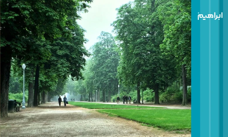 اهمیت نظافت پارک و فضای سبز شهری