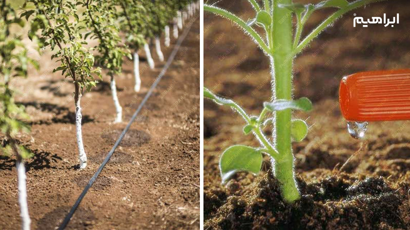 روش های کاهش مصرف آب در کشاورزی