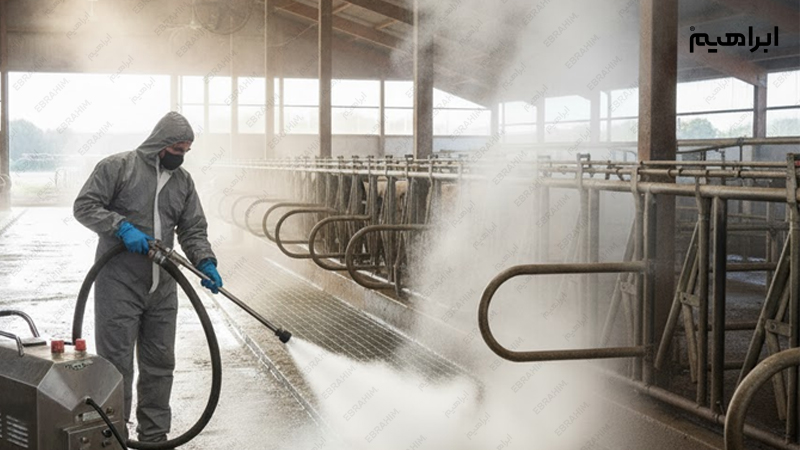بخارشوی صنعتی در ضدعفونی دامداری