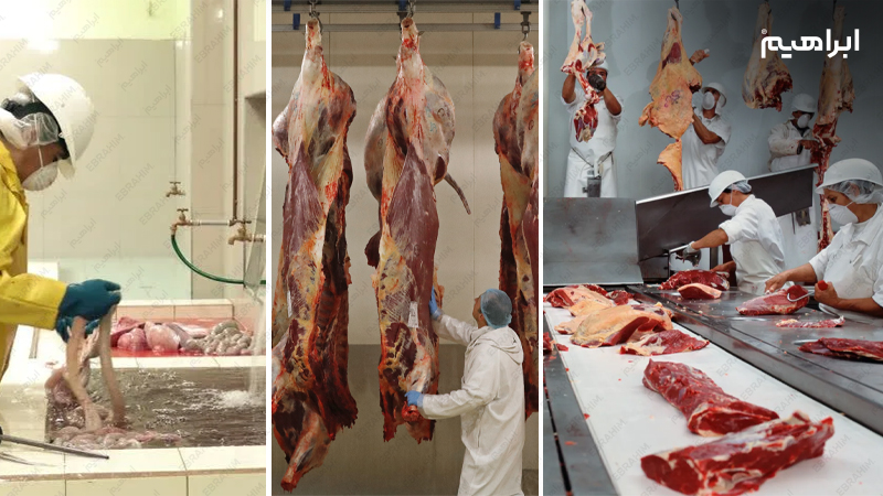 نظافت و شستشوی کشتارگاه