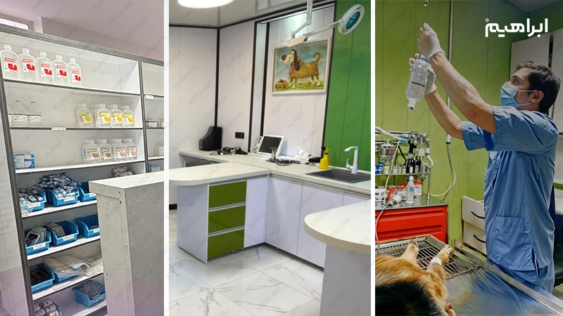 نظافت و ضدعفونی کلینیک دامپزشکی