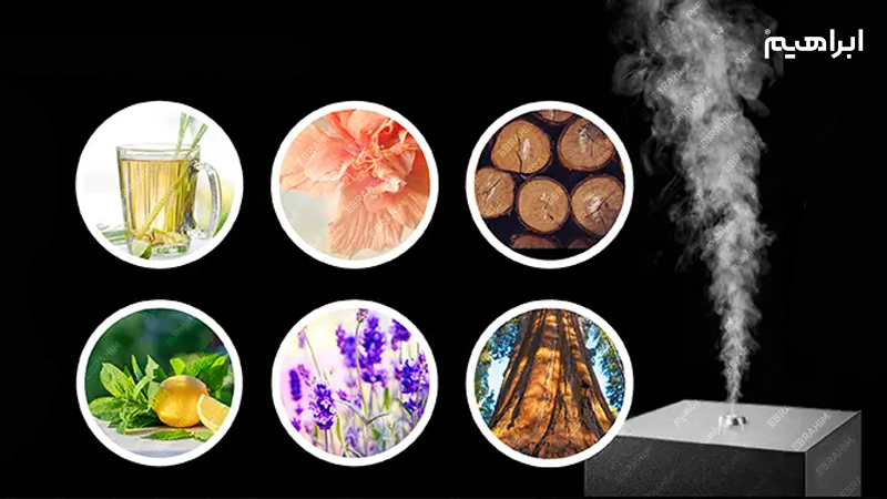 رایحه سازمانی و محبوبیت برند