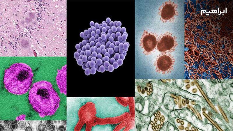 بیماری های واگیردار