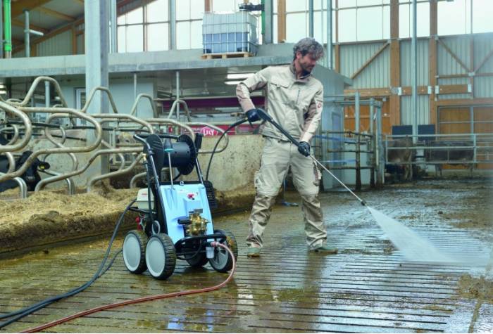 Washing livestock with industrial car wash