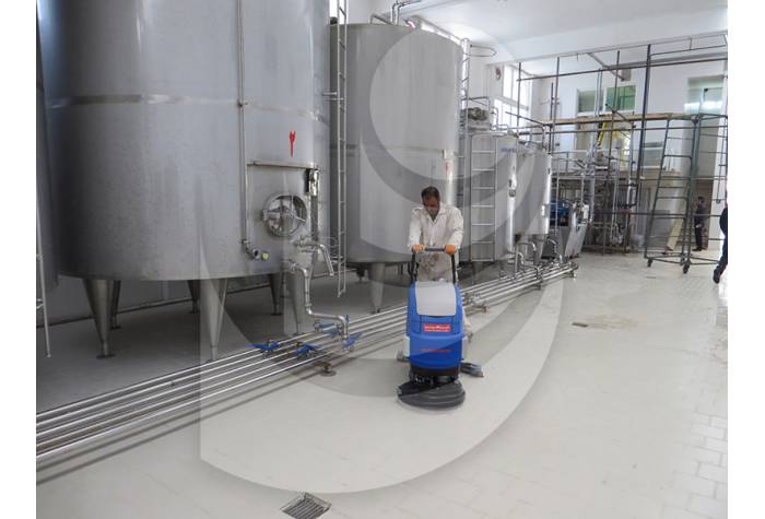 cleaning plant with scrubber